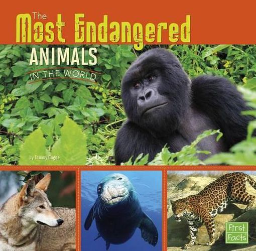 Cover image for Most Endangered