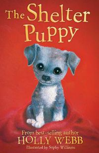 Cover image for The Shelter Puppy