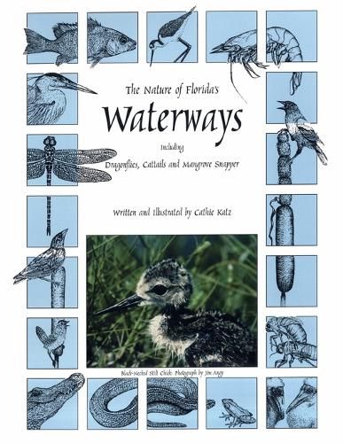 Cover image for The Nature of Florida's Waterways: Including Dragonflies, Cattails, and Mangrove Snapper