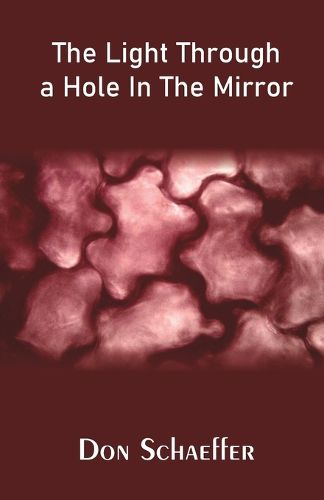 Cover image for The Light Through a Hole In The Mirror