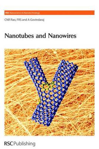 Cover image for Nanotubes and Nanowires