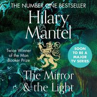 Cover image for The Mirror and the Light