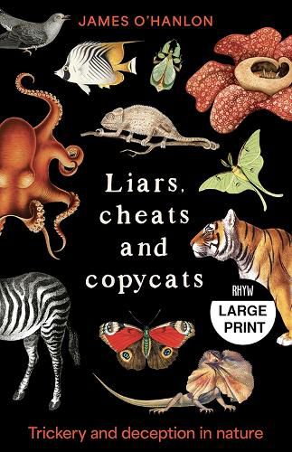 Cover image for Liars, cheats and copycats