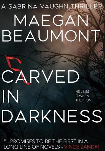 Cover image for Carved in Darkness