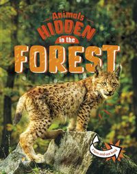 Cover image for Animals Hidden in the Forest