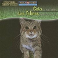 Cover image for Cats Are Night Animals / Los Felinos Son Animales Nocturnos