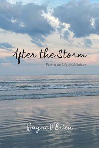 Cover image for After the Storm