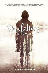 Cover image for Revelations in the Valley