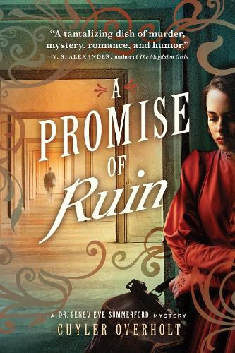 Cover image for A Promise of Ruin