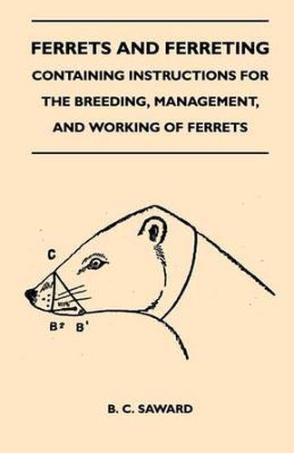 Cover image for Ferrets And Ferreting - Containing Instructions For The Breeding, Management, And Working Of Ferrets