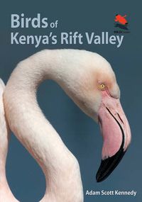 Cover image for Birds of Kenya's Rift Valley