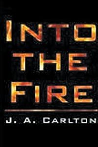 Cover image for Into The Fire