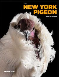 Cover image for The New York Pigeon