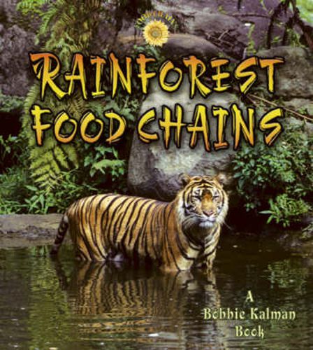 Cover image for Rainforest Food Chains