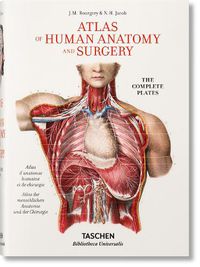 Cover image for Bourgery: Atlas of Human Anatomy and Surgery