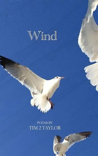 Cover image for Wind