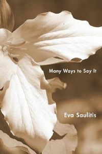 Cover image for Many Ways to Say It