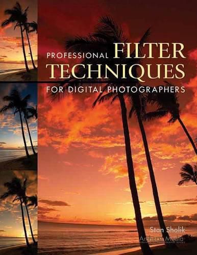 Cover image for Professional Filter Techniques for Digital Photographers