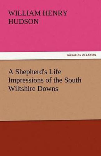 Cover image for A Shepherd's Life Impressions of the South Wiltshire Downs