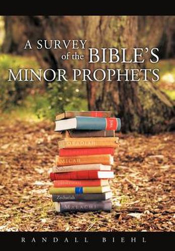 Cover image for A Survey of the Bible's Minor Prophets