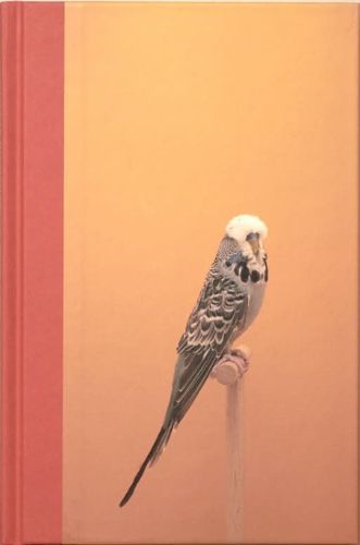 Cover image for An Incomplete Dictionary of Show Birds