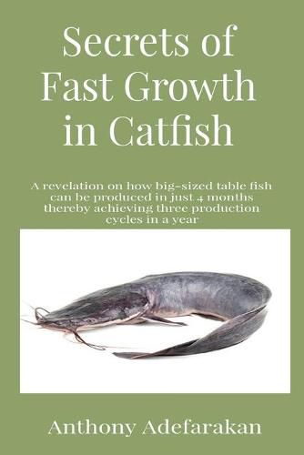 Cover image for Secrets of Fast Growth in Catfish: A revelation on how big-sized table fish can be produced in just 4 months thereby achieving three production cycles in a year