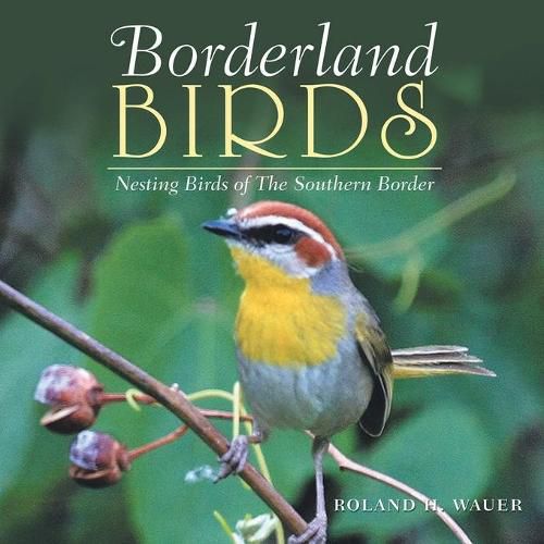 Cover image for Borderland Birds: Nesting Birds of the Southern Border