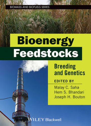 Cover image for Bioenergy Feedstocks: Breeding and Genetics