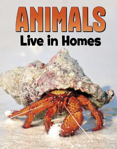 Cover image for Animals Live in Homes