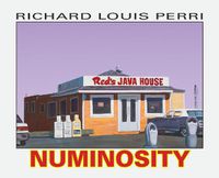 Cover image for Numinosity: Photographs, Paintings & Text