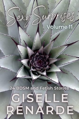 Cover image for Sexy Surprises Volume 11
