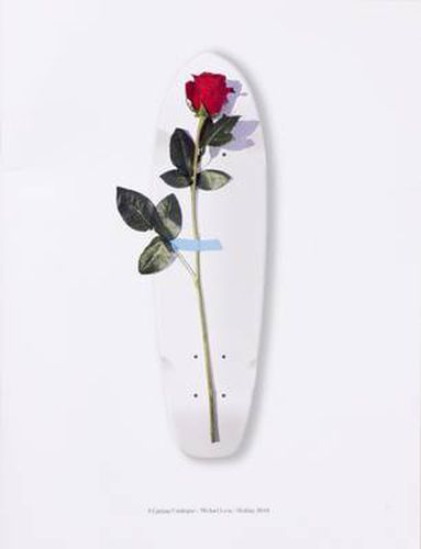 Cover image for A Curious Catalogue