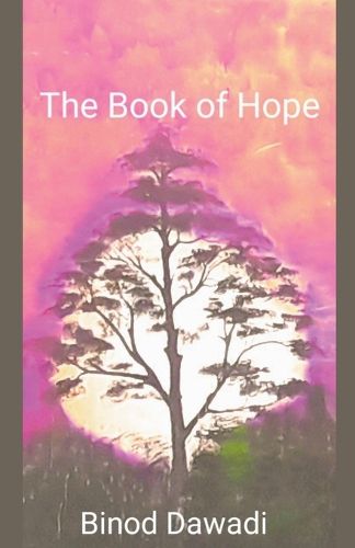 Cover image for The Book of Hope