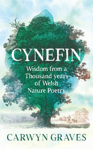 Cover image for Cynefin