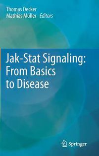 Cover image for Jak-Stat Signaling : From Basics to Disease