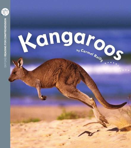 Cover image for Kangaroos: Oxford Level 3: Pack of 6