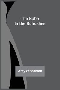 Cover image for The Babe in the Bulrushes