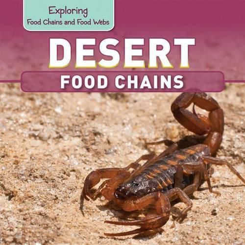 Desert Food Chains