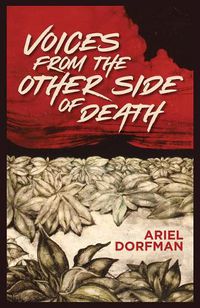 Cover image for Voices from the Other Side of Death