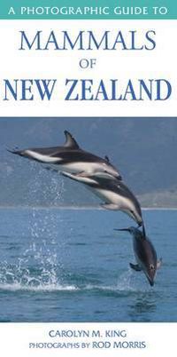 Cover image for Photographic Guide To Mammals Of New Zealand