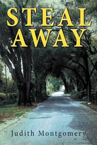 Cover image for Steal Away