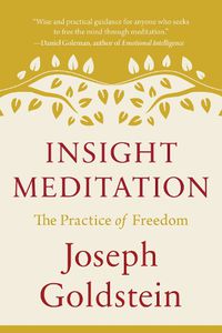Cover image for Insight Meditation