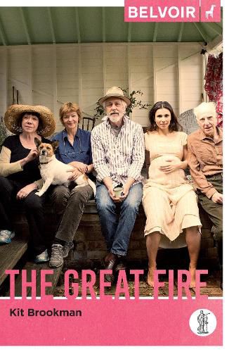 Cover image for The Great Fire