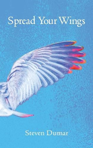 Cover image for Spread Your Wings