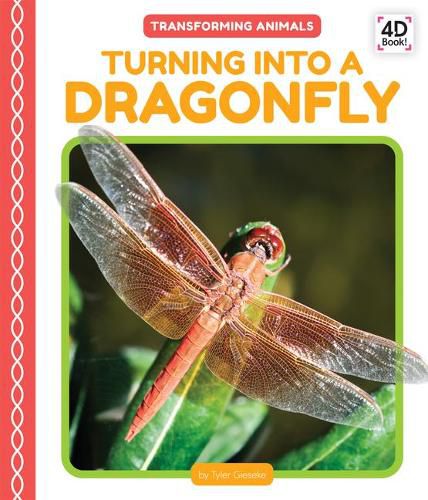 Cover image for Turning Into a Dragonfly