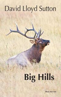 Cover image for Big Hills