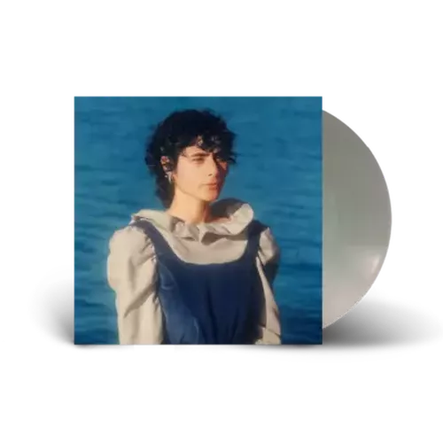 Cover image for it's hard to be a fish - Montaigne ** Silver Vinyl