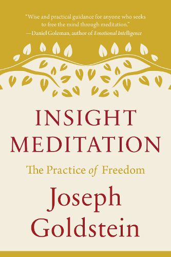 Cover image for Insight Meditation