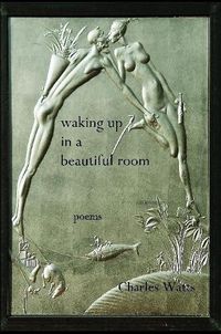 Cover image for Waking Up in a Beautiful Room