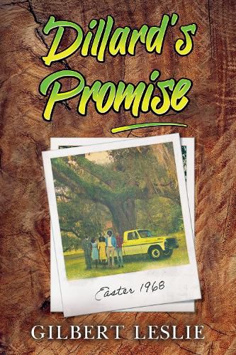 Cover image for Dillard's Promise